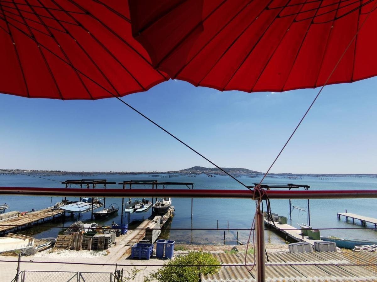 Meze, Petit Proche Port Apartment Mèze