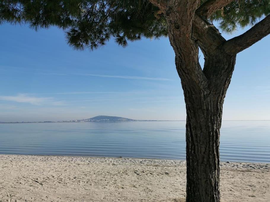 Meze, Petit Proche Port Mèze